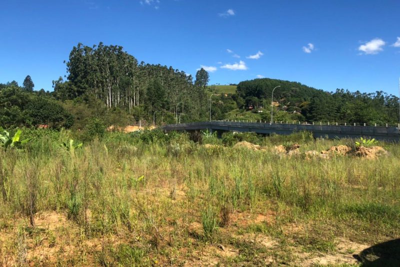 Criminosos fugiram a p&eacute; em dire&ccedil;&atilde;o a uma regi&atilde;o de mata – Foto: Gabriela Milanezi / NDTV Blumenau