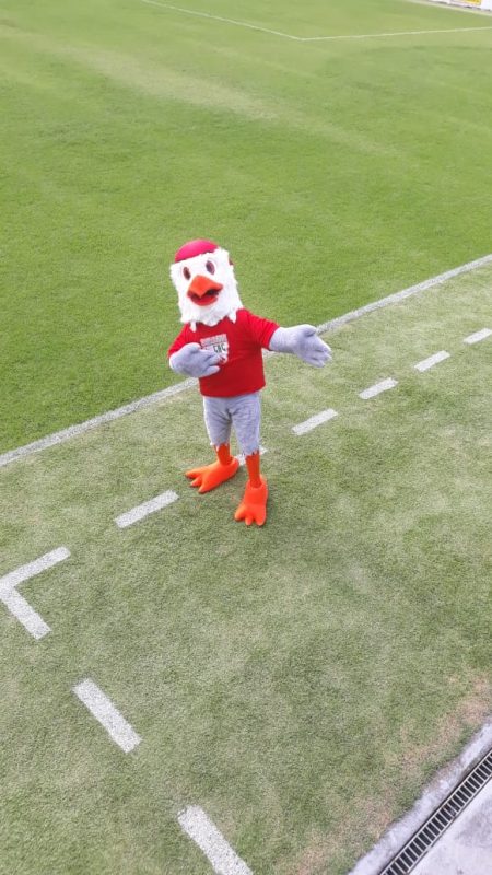 Zezinho, a &aacute;guia Josefense. – Foto: ND/divulga&ccedil;&atilde;o