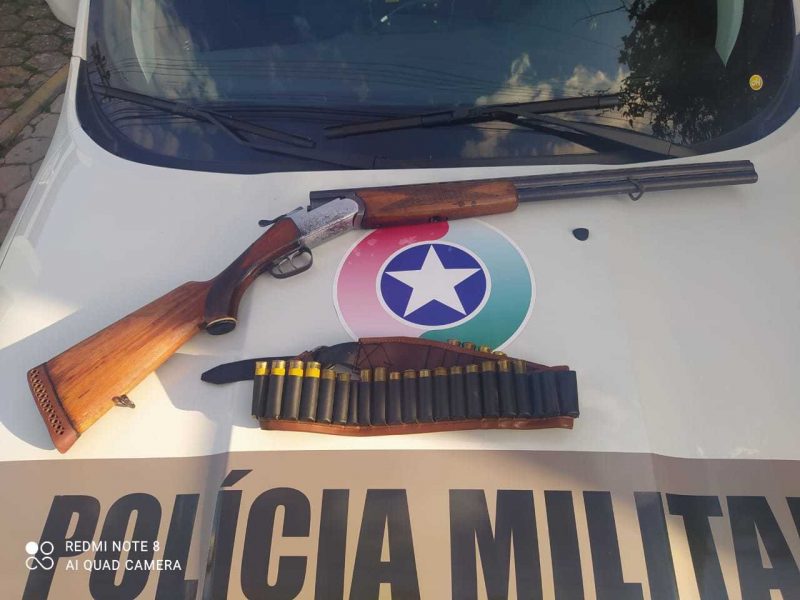 Cachorro morreu no local – Foto: Pol&iacute;cia Militar/Reprodu&ccedil;&atilde;o