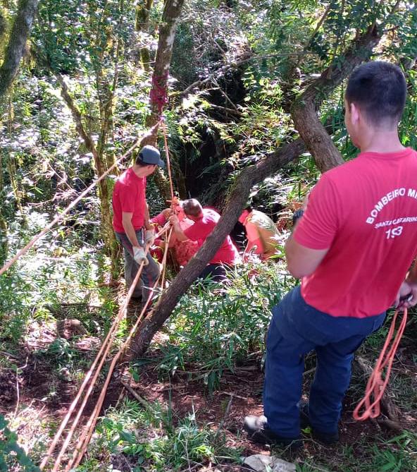 Animal caiu em uma profundidade de cerca de 20 metros – Foto: Corpo de Bombeiros/ND