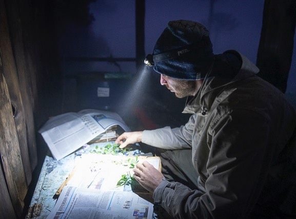 Ele buscou por anos at&eacute; que encontrou a nova esp&eacute;cie – Foto: Arquivo pessoal