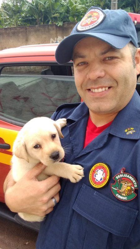 Alerta de fofura: Bob é o novo filhote em treinamento dos Bombeiros de Itapema – Foto: CBMSC/Divulgação
