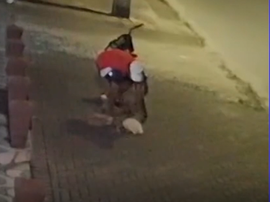 Imagens filmaram o momento em que a pizza caiu no ch&atilde;o – Foto: Reprodu&ccedil;&atilde;o