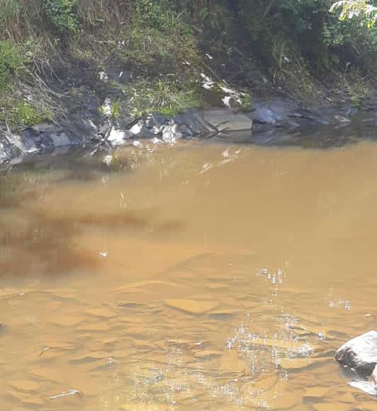 V&iacute;tima foi encontrada submersa no Rio Correntes – Foto: Corpo de Bombeiros/ND