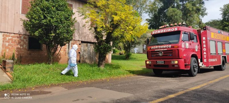 Corpo de Bombeiros voluntários socorreu os homens que foram atacados pelas abelhas, mas o papagaio morreu e os cães fugiram