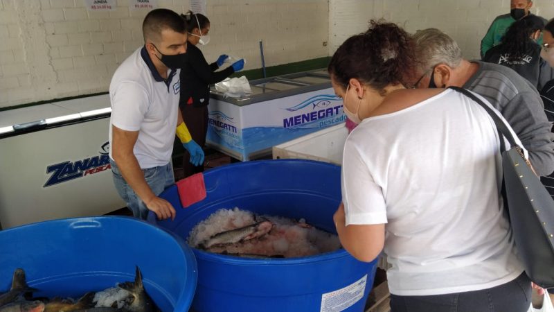 Expectativa por parte da Secretaria Municipal de Agricultura é vender 40 toneladas de peixe – Foto: Felipe Kreusch/NDTV/ND