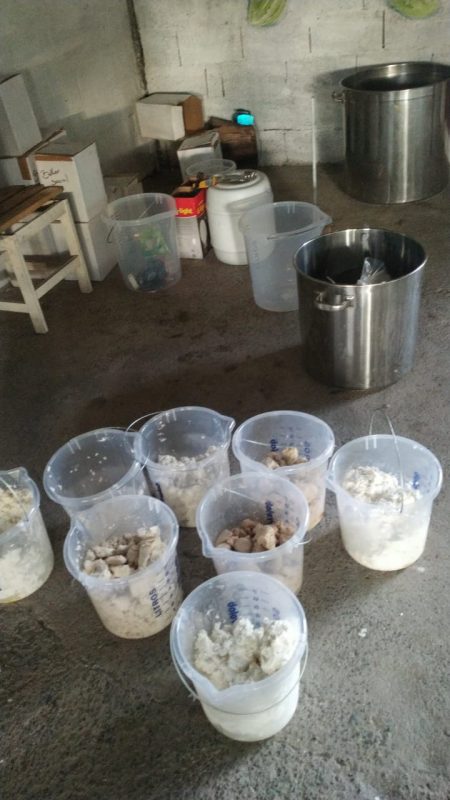 Insumos para produ&ccedil;&atilde;o do ecstasy – Foto: Pol&iacute;cia Federal/Divulga&ccedil;&atilde;o ND