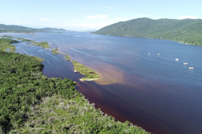"Ainda vemos manchas na Lagoa da Conceição" denúncia associação dos moradores