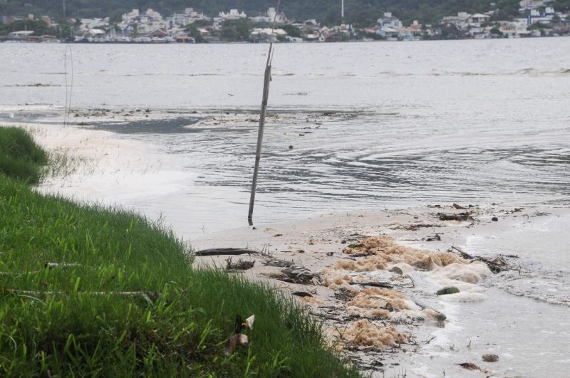 Lagoa da Conceição enfrenta a maré marrom – Foto: Leo Munhoz/ND