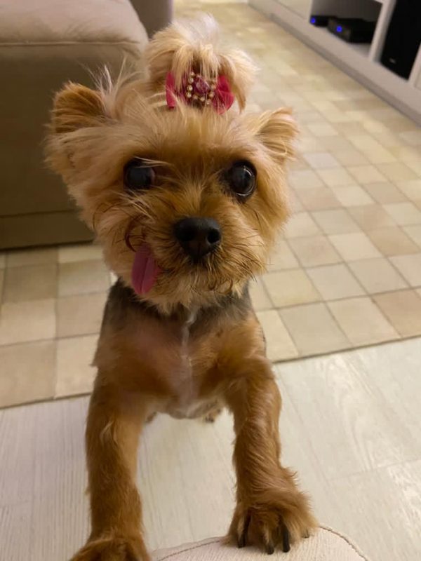 Mel tem 13 anos – Foto: Arquivo Pessoal