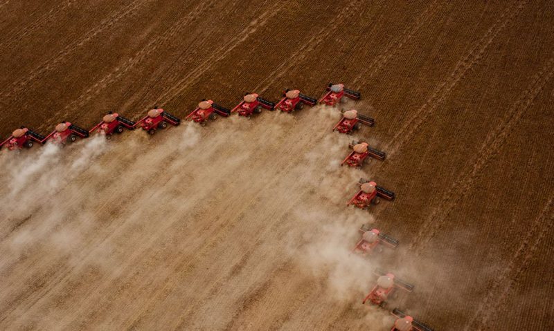Estiagem e geadas impedem nova safra recorde de grãos em 2021 — Foto: José Medeiros/Sudeco/ND