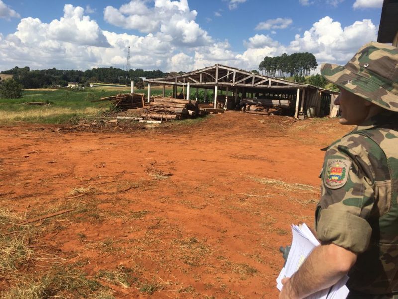 Ap&oacute;s buscas, na tarde desta ter&ccedil;a-feira (16), foi encontrado na Linha Aterro Alto, interior de Xanxer&ecirc;, uma madeireira que operava sem Licen&ccedil;a Ambiental de Opera&ccedil;&atilde;o. – Foto: Pol&iacute;cia Militar Ambiental/Divulga&ccedil;&atilde;o/ND