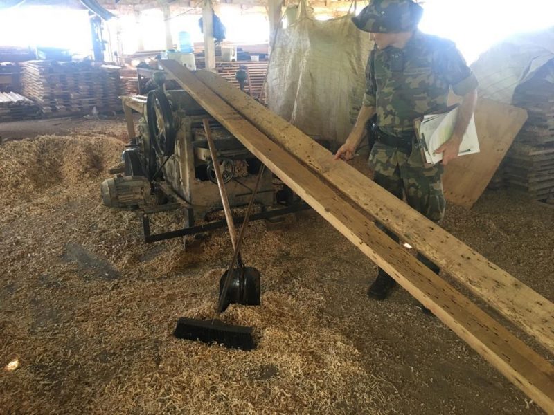 Ap&oacute;s buscas, a pol&iacute;cia identificou o propriet&aacute;rio do im&oacute;vel. Ele relatou que aluga o espa&ccedil;o para uma terceira pessoa, que opera a madeireira. – Foto: Pol&iacute;cia Militar Ambiental/Divulga&ccedil;&atilde;o/ND