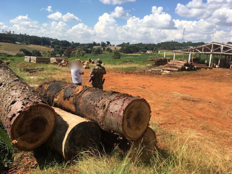 Segundo a Pol&iacute;cia Militar Ambiental, a atividade foi embargada e todo o material e maquin&aacute;rio foram apreendidos. O propriet&aacute;rio da madeireira ser&aacute; autuado com multa ambiental e responder&aacute; a processo crime pelo delito praticado. – Foto: Pol&iacute;cia Militar Ambiental/Divulga&ccedil;&atilde;o/ND