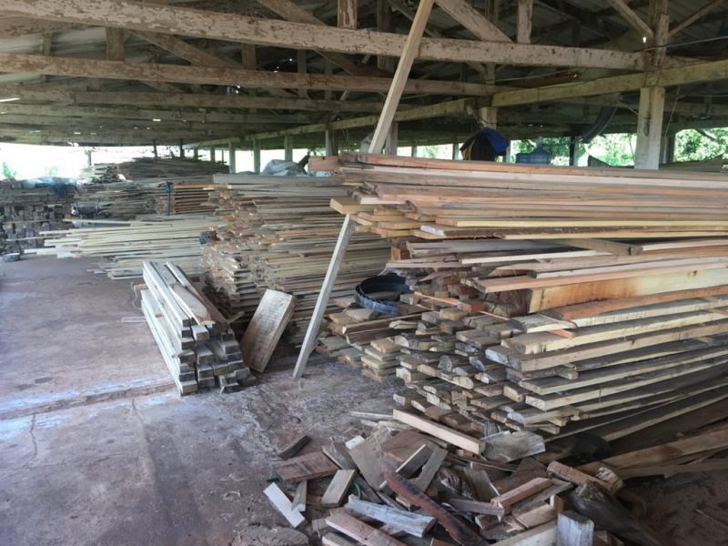 Foi encontrado no local vasto estoque de produto florestal ex&oacute;tico e nativo, como pinus, eucalipto e alguns exemplares de arauc&aacute;ria e rabo de bugio. – Foto: Pol&iacute;cia Militar Ambiental/Divulga&ccedil;&atilde;o/ND