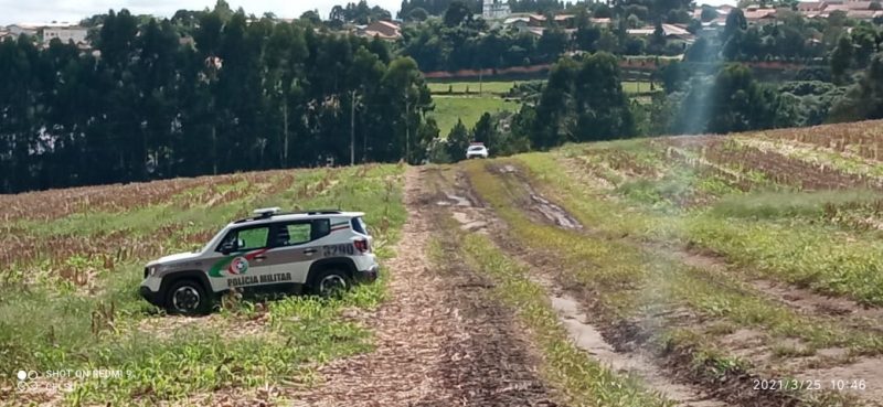 Recaptura aconteceu na manhã desta quinta-feira (25) em uma plantação – Foto: Polícia Militar/Divulgação