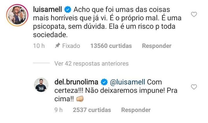 Luisa Mell comentou a publicação do vídeo do delegado Bruno Lima no Instagram