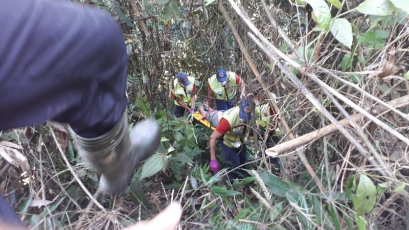 Jovem que estava desaparecida em Blumenau &eacute; encontrada em &aacute;rea de mata – Foto: Divulga&ccedil;&atilde;o/Corpo de Bombeiros