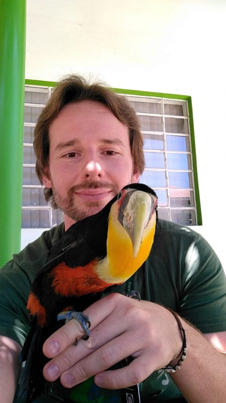 Animal ainda est&aacute; em recupera&ccedil;&atilde;o na Fujama – Foto: Fujama/Divulga&ccedil;&atilde;o