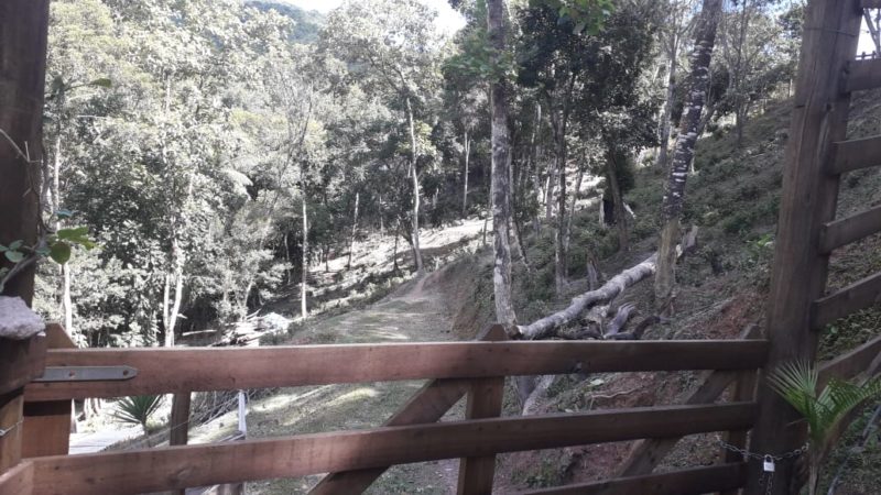 Casal de idosos &eacute; atacado por carneiro e vai parar no hospital em SC – Foto: Divulga&ccedil;&atilde;o/Corpo de Bombeiros