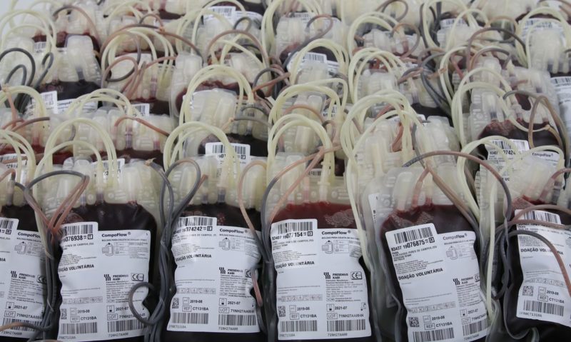 Estima-se que 350 mil pessoas vivam com hemofilia em todo o mundo – Foto: Rovena Rosa/Agência Brasil/ND