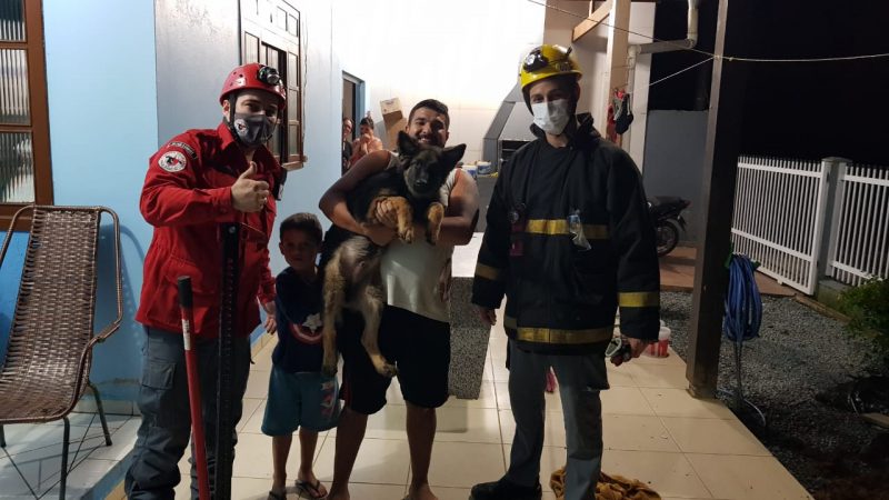Depois de resgatado, o bichinho ficou faceiro no colo do dono – Foto: BVGuaramirim/Divulgação
