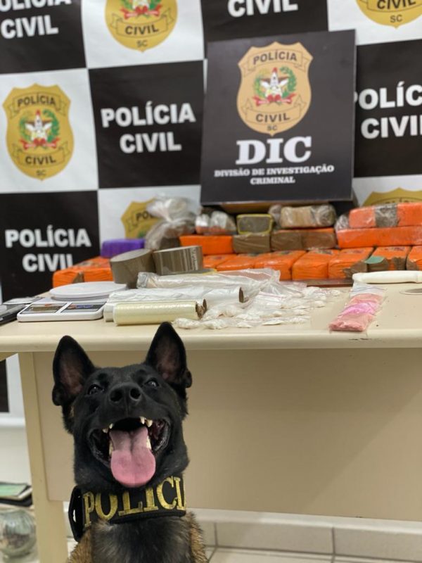 Pol&iacute;cia apreendeu quantidade consider&aacute;vel de maconha, ecstasy e coca&iacute;na – Foto: Pol&iacute;cia Civil/Divulga&ccedil;&atilde;o