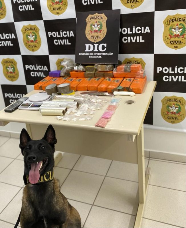 O agente canino pareceu orgulhoso com a a&ccedil;&atilde;o – Foto: Pol&iacute;cia Civil/Divulga&ccedil;&atilde;o