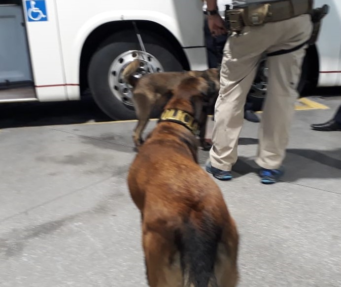 Operação de prevenção ocorreu nesta quinta-feira na rodoviária de Joinville – Foto: Polícia Civil de Joinville