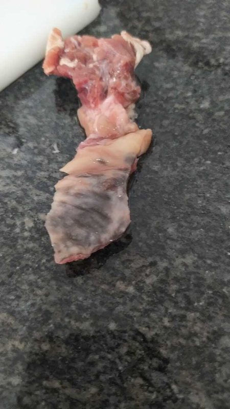 Carnes estavam escuras, cheiro forte e textura estranha, de acordo com nutricionista – Foto: Vigilância Sanitária Itajaí