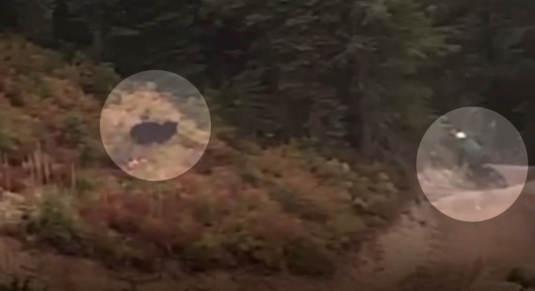 ciclista e urso