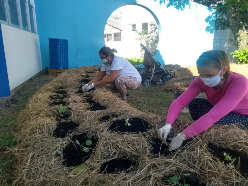 Espaço produz alimentos coletivamente, usando o composto fornecido pelo programa municipal de agricultura urbana – Foto: Divulgação/PMF