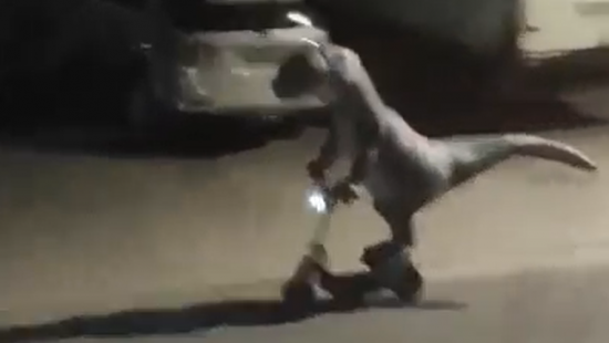 VÍDEO: &#39;dinossauro&#39; é flagrado andando de patinete no Norte de SC
