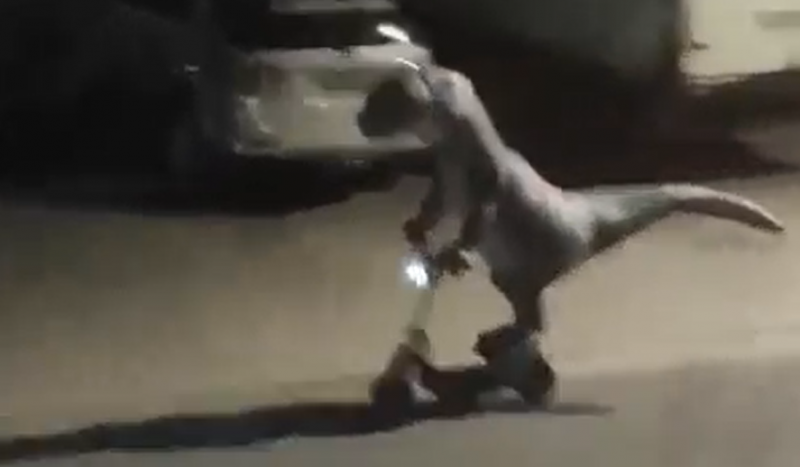Dinossauro foi visto passeando pelas ruas de Joinville &#8211; Foto: Reprodução/Joinville Informações