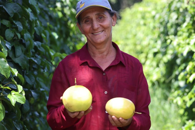 Dona Helena é uma das produtoras que fazem de Araquari, a capital catarinense do maracujá – Foto: Divulgação