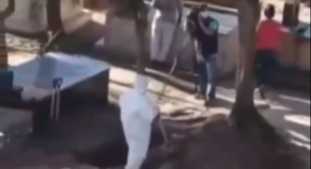 Deputada compartilhou vídeo com ‘fake news’ – Foto: Reprodução/ND