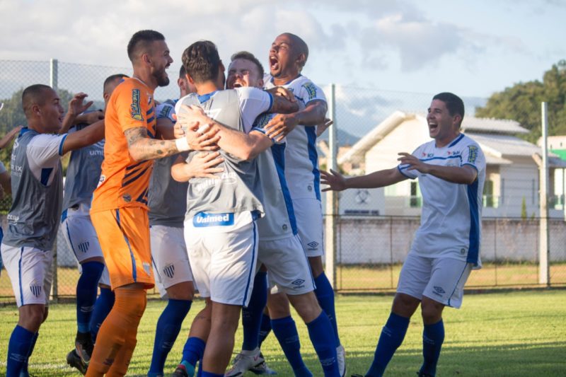 Jogadores do Avaí comemoram o gol de Marcos Serrato – Foto: André Palma Ribeiro/Avaí F.C