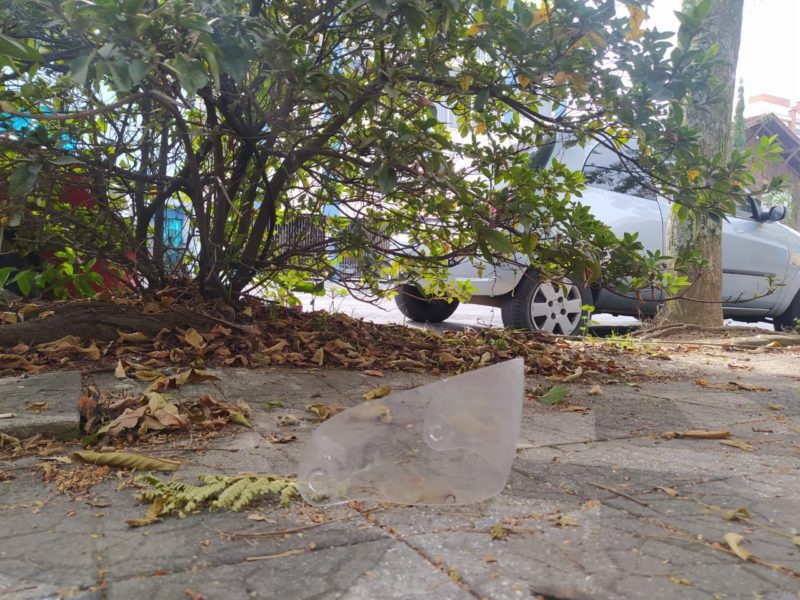 Homem morre ao colidir com árvore em Blumenau – Foto: Vinícius Bretzke