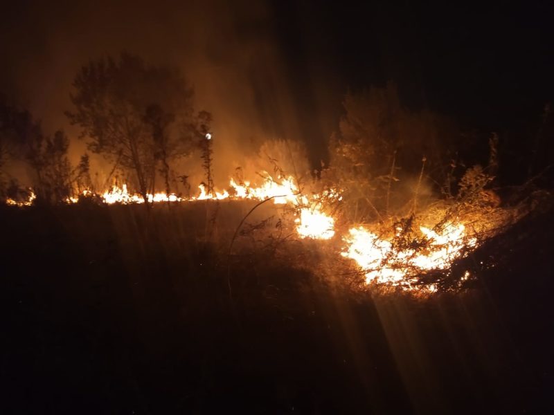 Incêndio destruiu parte da vegetação no fim da tarde desta segunda-feira (26) – Foto: Corpo de Bombeiros Militar/Divulgação