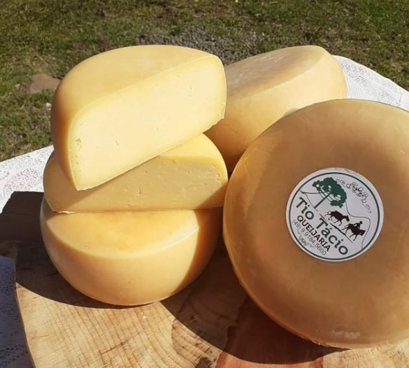 Queijo artesanal serrano produzido pela Queijaria Tio Tácio, em São Joaquim – Foto: Instagram/Reprodução/ND