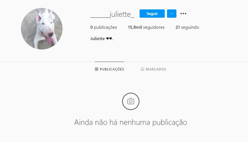 Cachorrinha Juliette teve que mudar conta no Instagram – Foto: Redes sociais