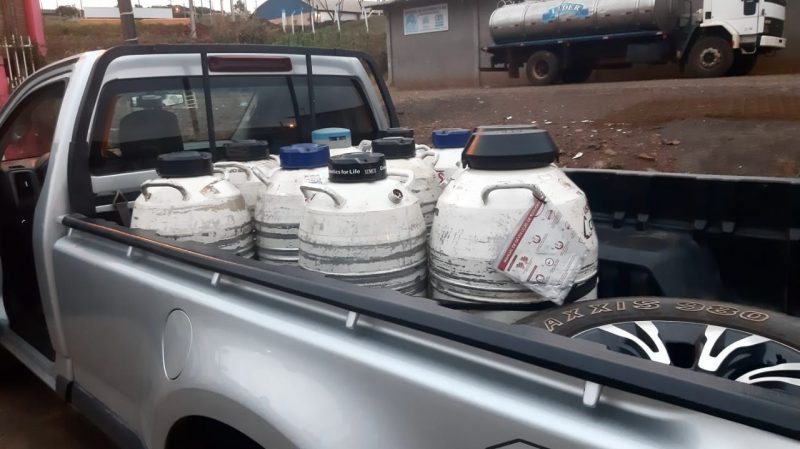 Polícia Civil cumpre cinco mandados de busca e apreensão em três cidades do Oeste de Santa Catarina – Foto: Polícia Civil/Divulgação
