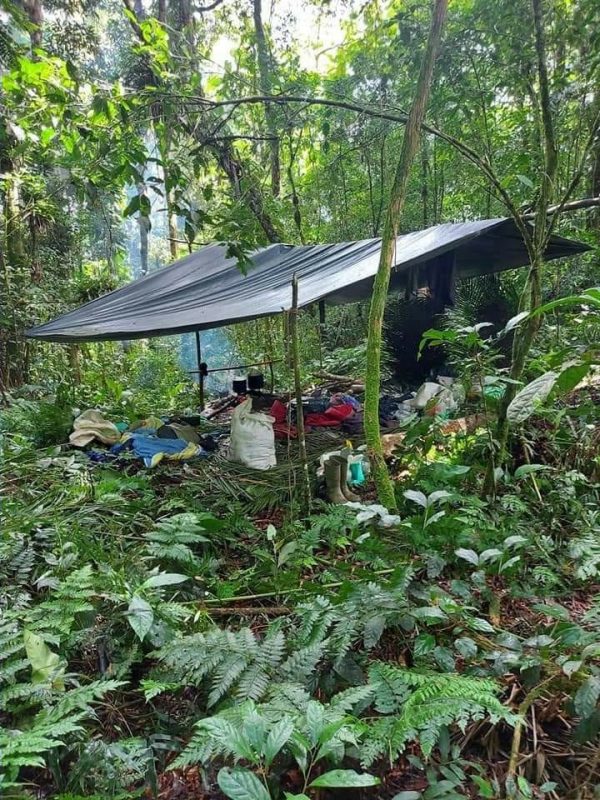 Polícia Militar desmonta acampamento que era usado para furto de palmito no Vale do Itajaí – Foto: Divulgação/Polícia Militar