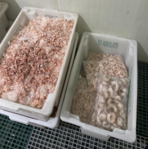 pescado estragado