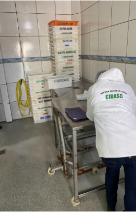 Ação de fiscalização apreende 3,6 toneladas de pescados impróprios ao consumo e interdita estabelecimento clandestino em Barra Velha – Foto: Ministério Público de SC/Divulgação ND