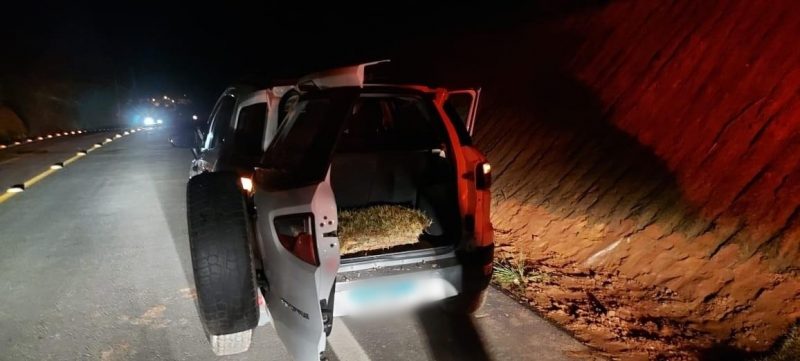 Grama furtada pela dupla seria de uma obra da Prefeitura de Guaramirim – Foto: Polícia Militar/Divulgação
