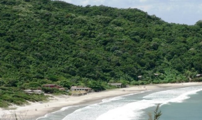 Praia dos Naufragados, em Florianópolis – Foto: Divulgação/ND