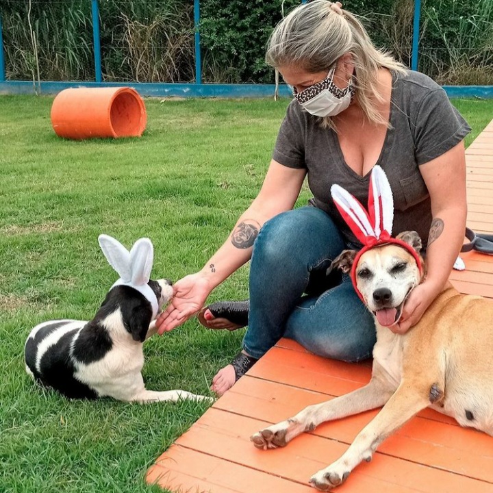 Pri Fernandes (PSD). Está pautando a causa animal em seu mandato e nas redes sociais. Na Semana Santa, divulgou diversos conteúdos criticando a Farra do Boi, prática considerada crime desde 1998 no Brasil. - Divulgação/ND