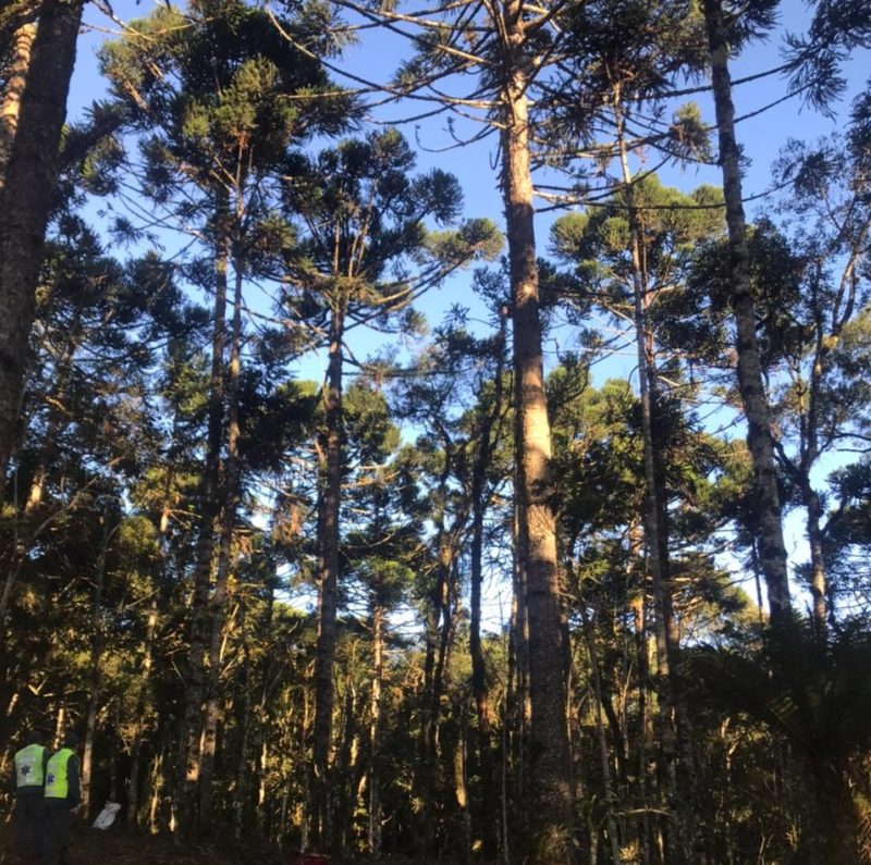Acidente aconteceu na manh&atilde; desta segunda-feira (26), em S&atilde;o Bento do Sul – Foto: Bombeiros Militares/Divulga&ccedil;&atilde;o