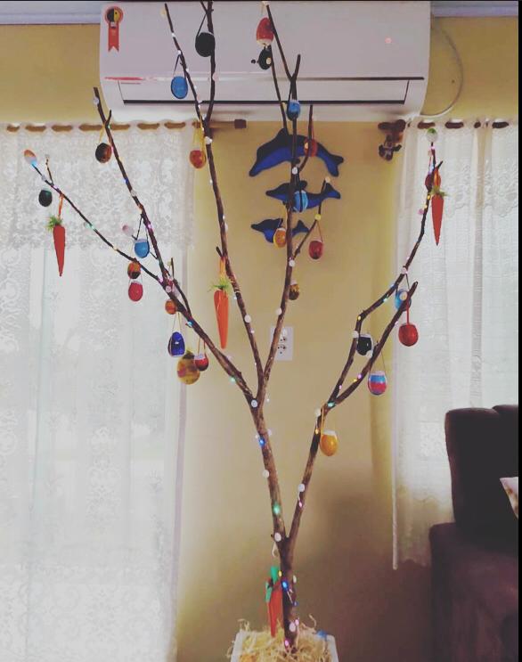 Essa Osterbaum, de Karla, da Vila Glória, em São Francisco do Sul, tem até luzinha. – Foto: Karla/Divulgação ND